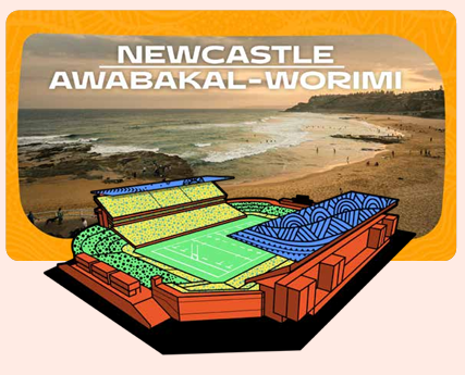 Newcastle Stadium illustration